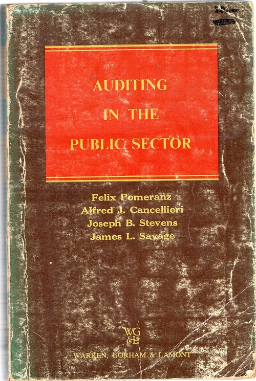 Auditing In The Public Sector